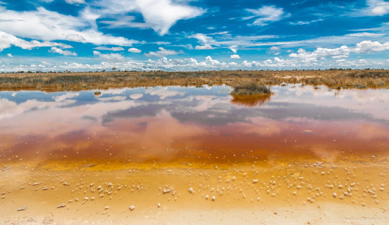 fdh_1420_stitch35-800