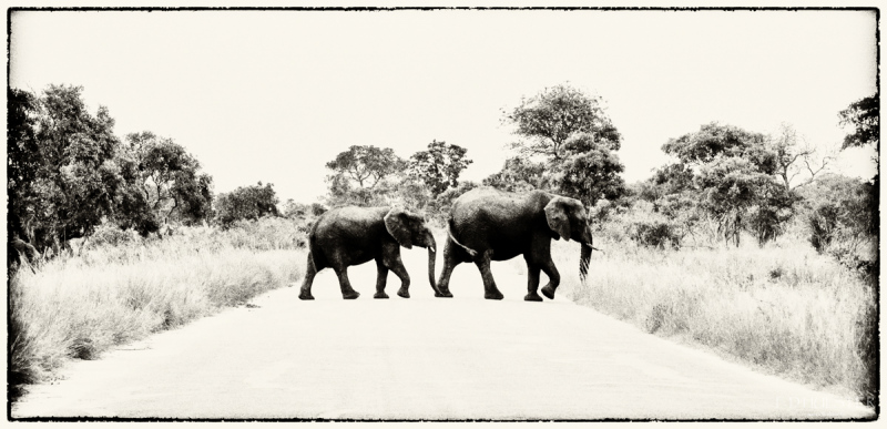 fdh_3600-modifier-1200