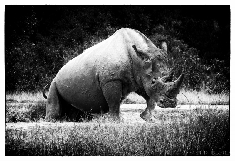 img_8723-modifier-1200