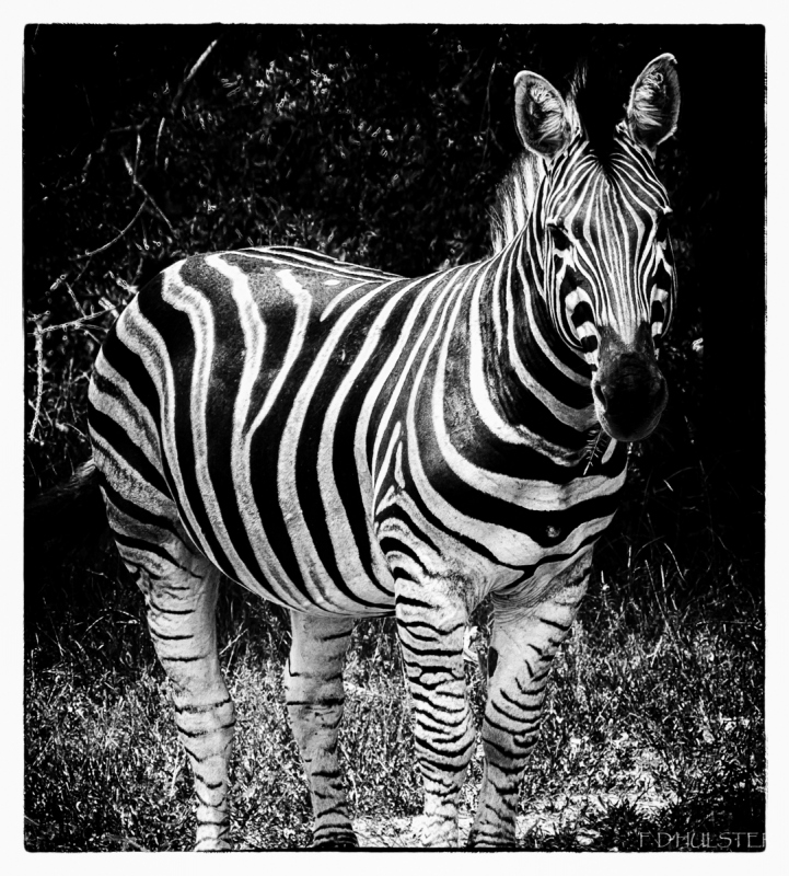 img_8736-modifier-1200