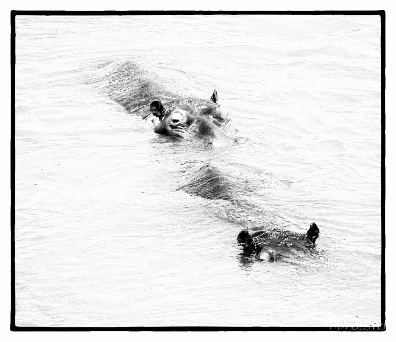 img_8786-modifier-1200