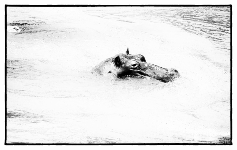 img_8787-modifier-1200-2