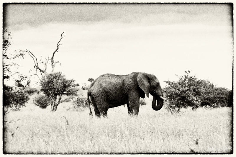 img_8823-modifier-1200