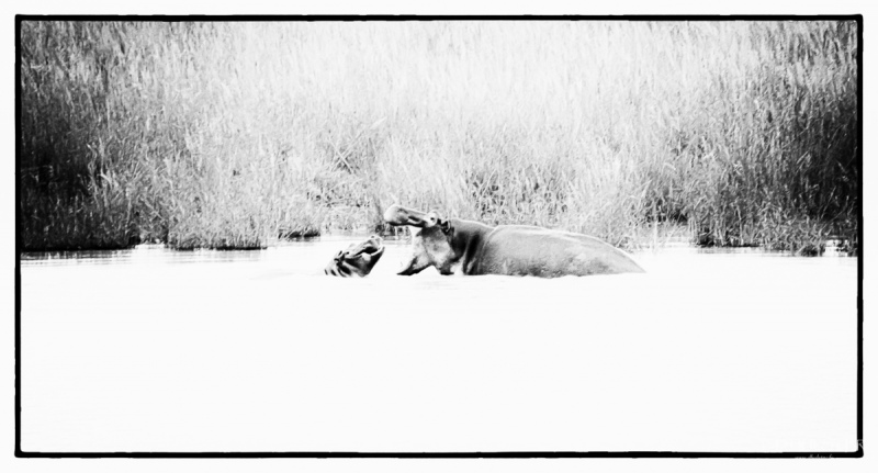 img_8837-modifier-1200