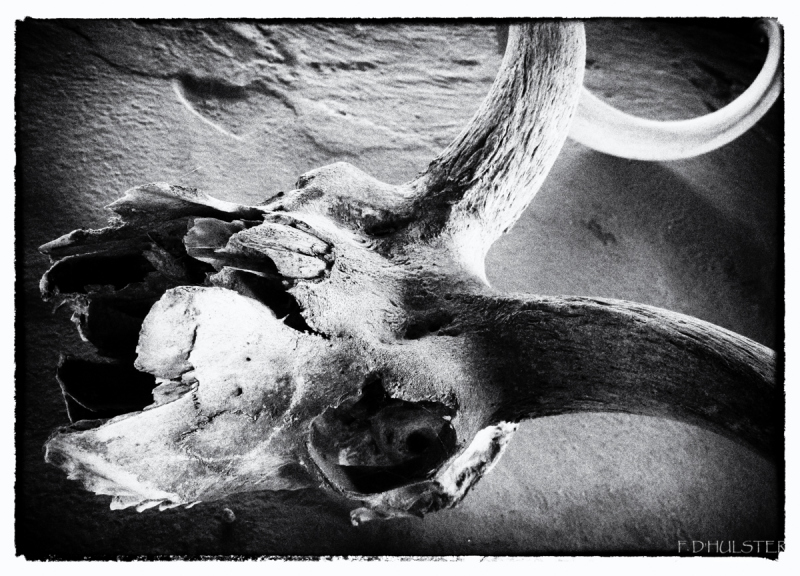 img_8904-2-modifier-1200