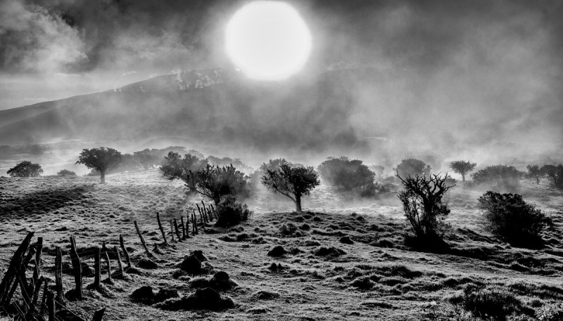 FDH_4927-Modifierpre_1200_686