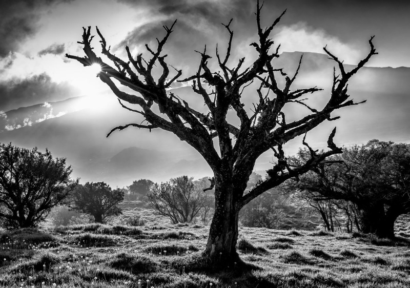 FDH_4937-Modifierpre_1200_843