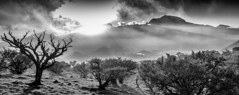 FDH_4938-Modifierpre_2400_956