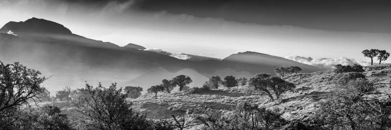 FDH_4945-Modifierpre_2400_797