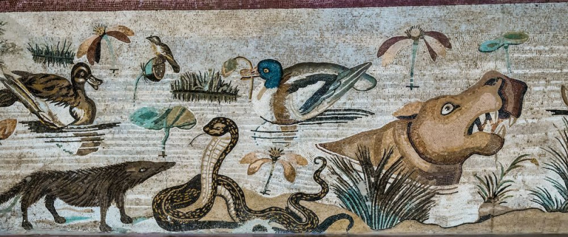 FDH_3901pre3_1000_418