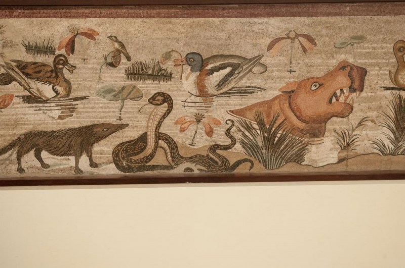 FDH_3901pre_1000_664