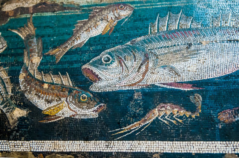 FDH_3904pre3_1000_661