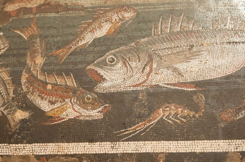 FDH_3904pre_1000_664