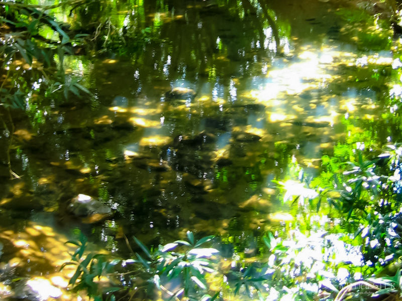 img_4003-1200