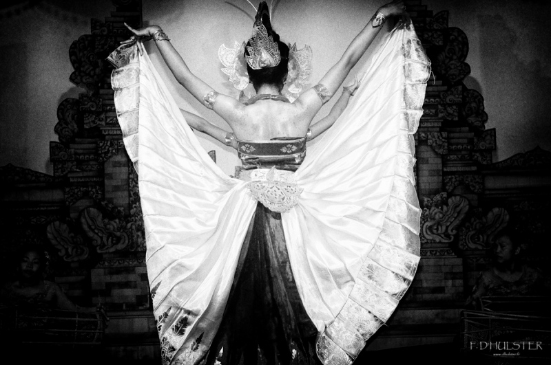 dsc_1541-modifier-1200