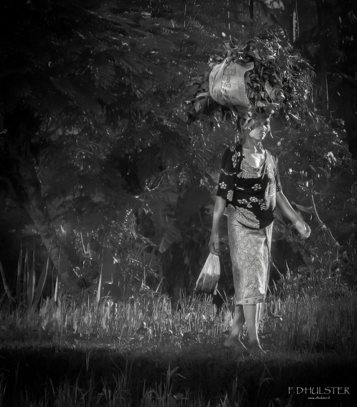 img_1610-modifier-1200