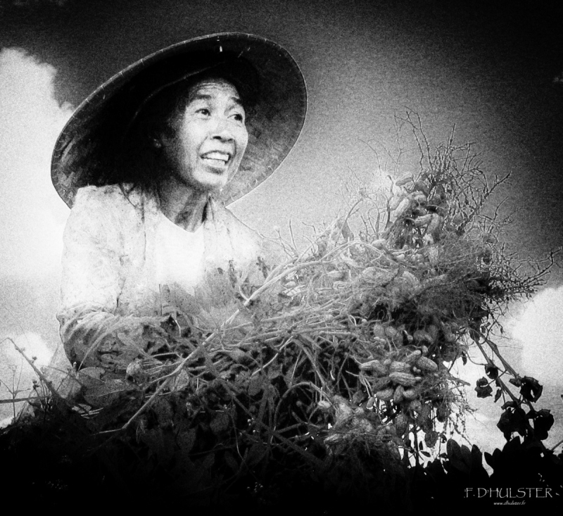 img_1717-modifier-1200