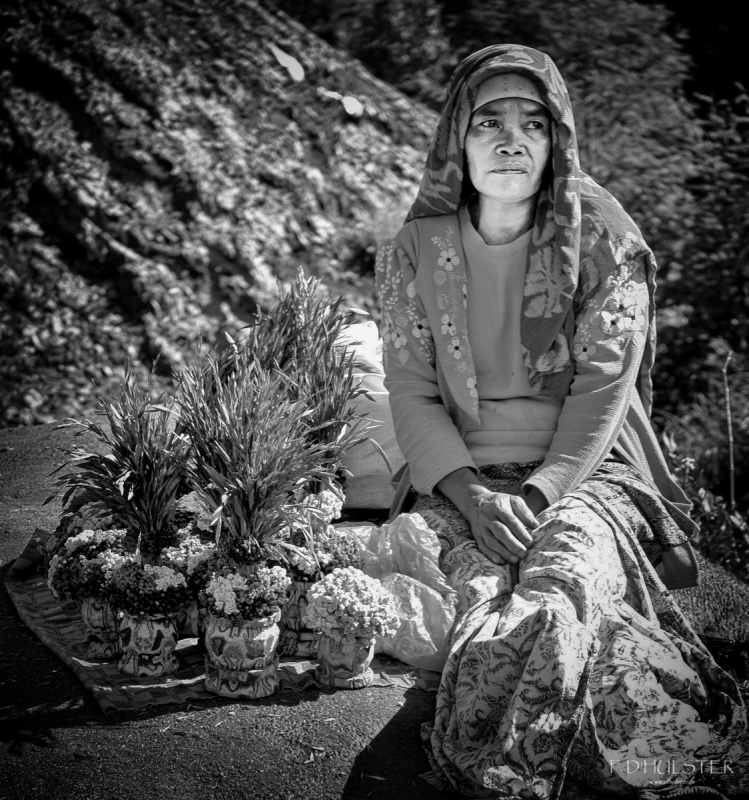 dsc_1180-modifier-1200