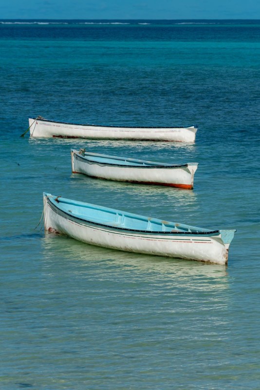 fdh_4791pre_801_1200