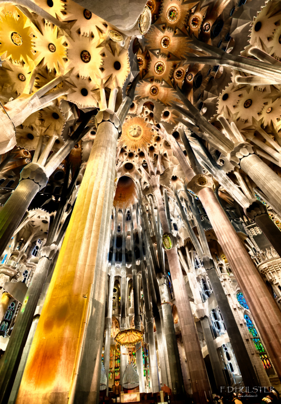 fdh_5307-modifier-1200