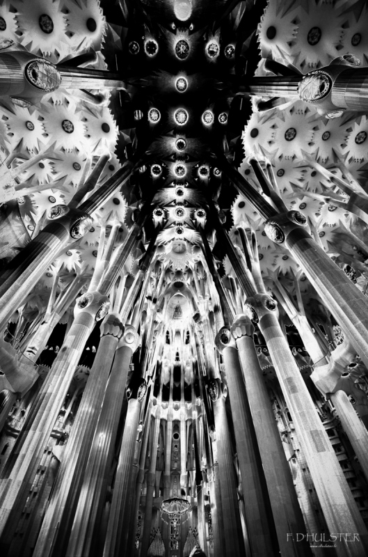 fdh_5331-modifier-1200