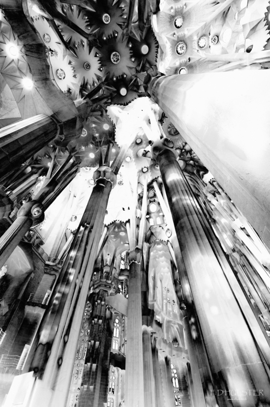 fdh_5365-modifier-1200