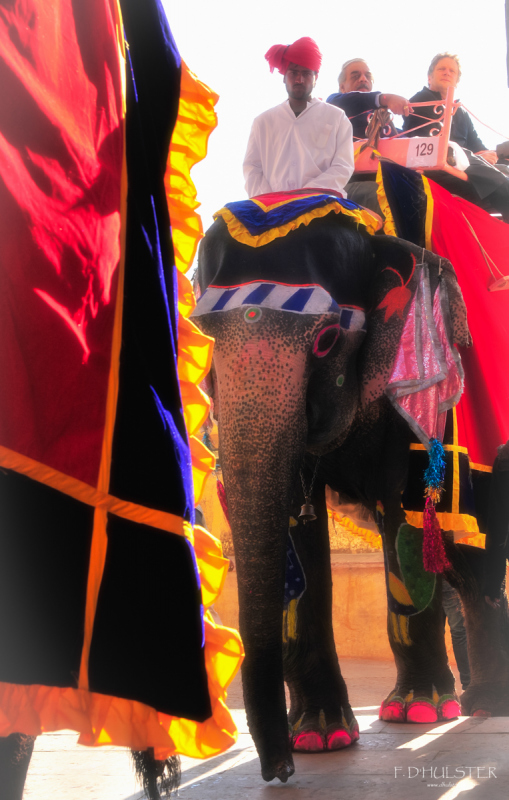 fdh_0218-modifier-1200