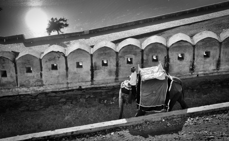 fdh_0244-modifier-1200