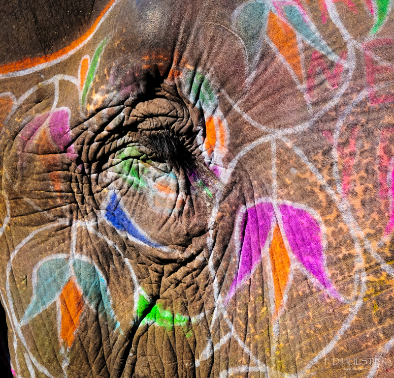 fdh_0386-1200