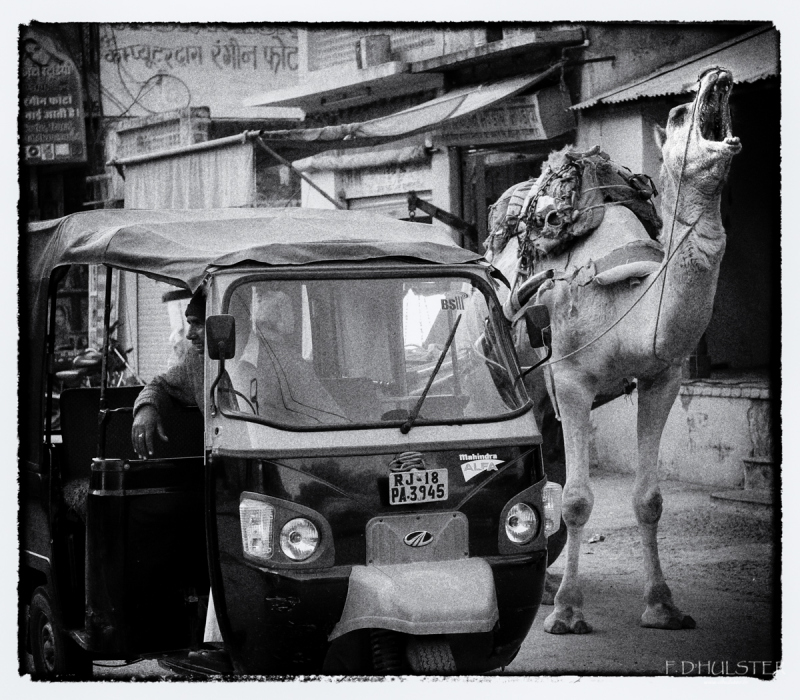 fdh_9151-modifier-1200