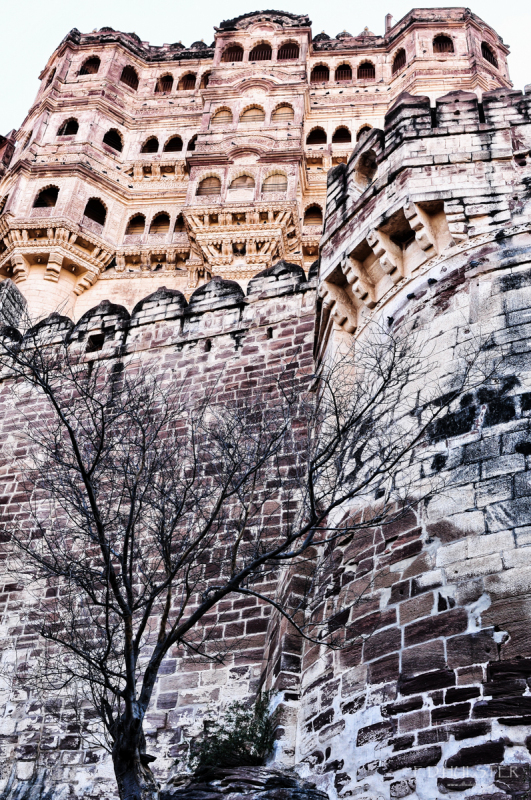 fdh_9552-modifier-1200