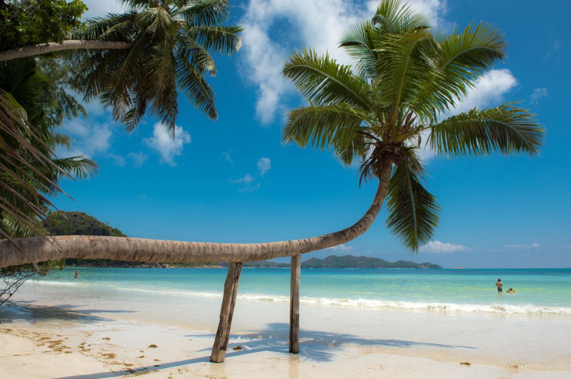 FDH_7017pre_1200_797