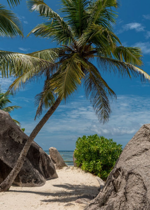 FDH_7204pre_717_1000