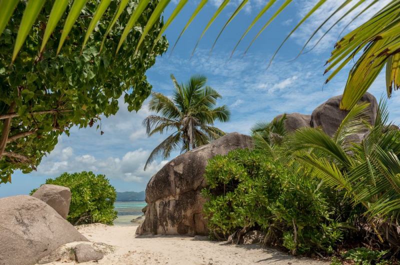 FDH_7208pre_1000_663