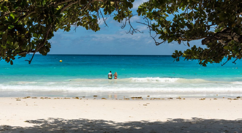 FDH_7319pre_1200_659