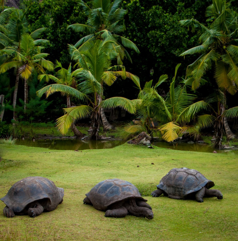 IMG_0477pre_1183_1200