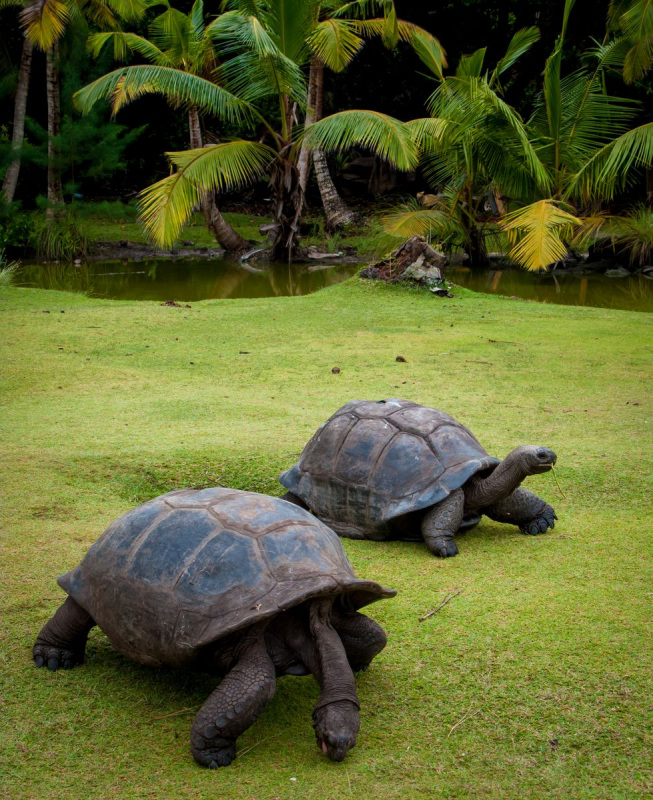 IMG_0481pre_979_1200