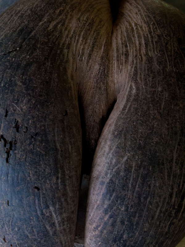 IMG_0489pre_900_1200