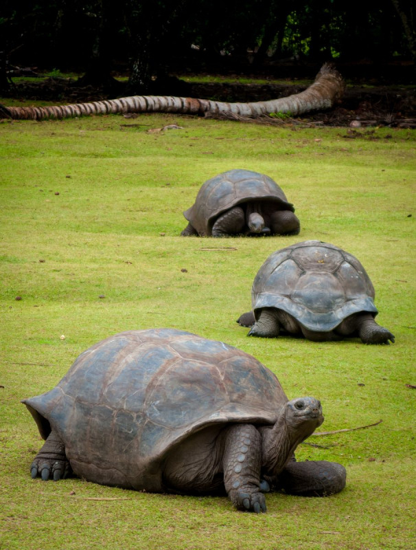 IMG_0492pre_909_1200