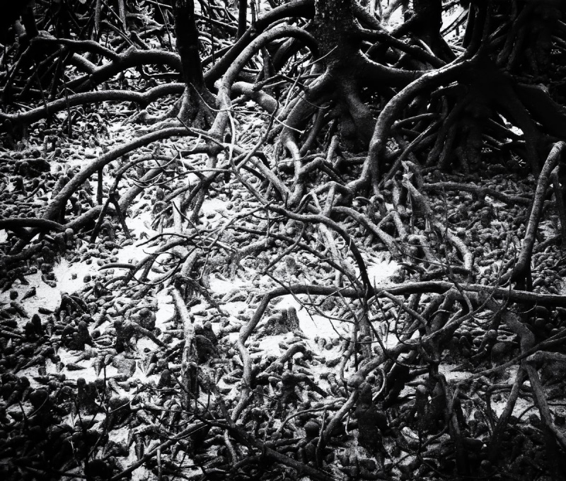 IMG_0518-Modifierpre_1200_1020