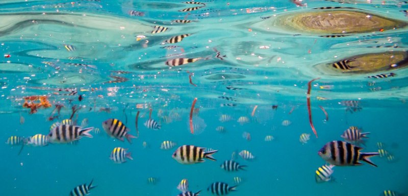 IMG_0560pre_1200_576