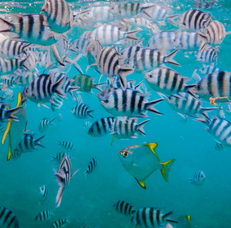 IMG_0634pre_1200_1180