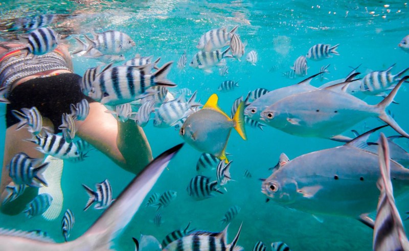 IMG_0635pre_1200_736