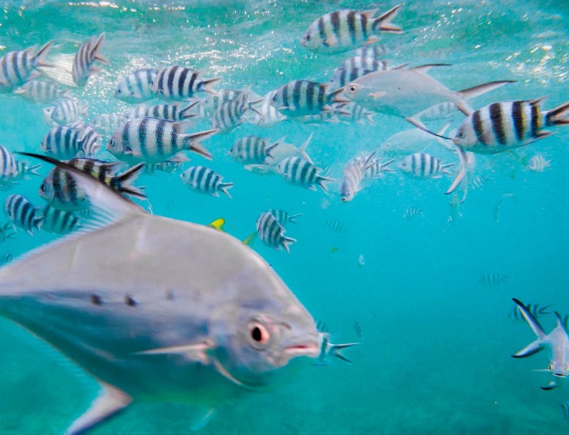 IMG_0637pre_1200_918