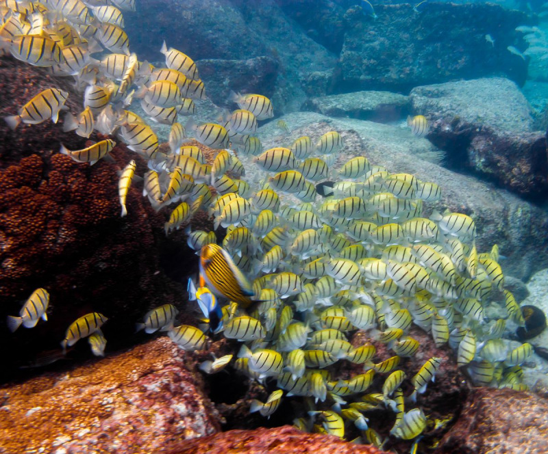 IMG_0668pre_1200_996