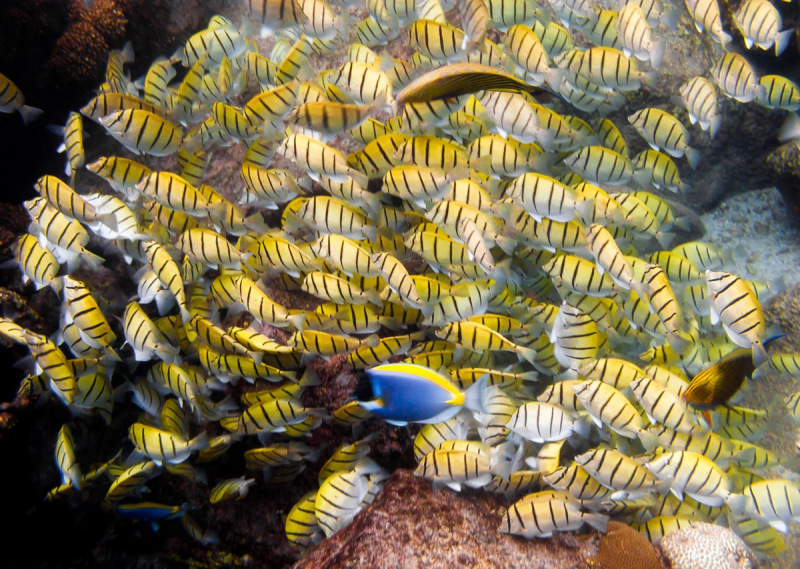 IMG_0669pre_1200_854