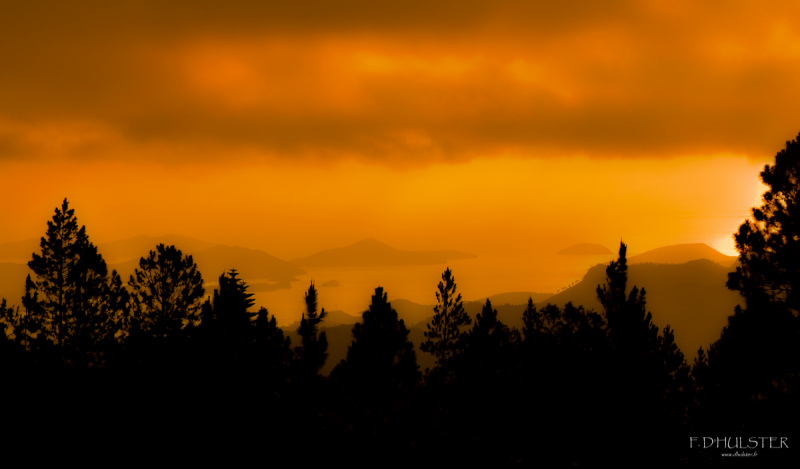 fdh_8496-1-1200