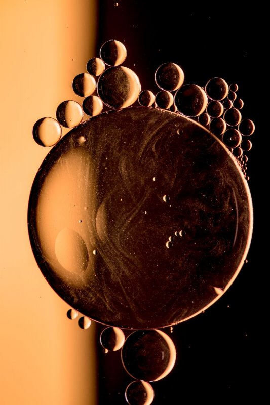 fdh_3167pre_799_1200