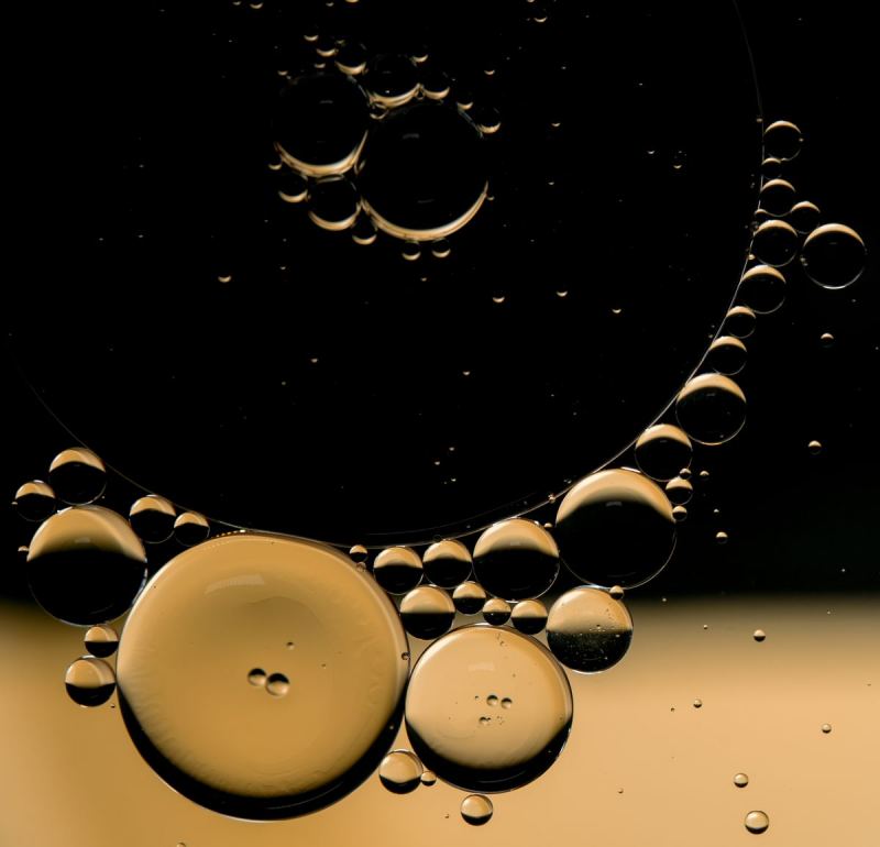 fdh_3207pre_1200_1155