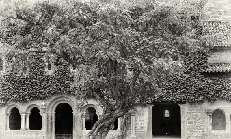 fdh_0356-modifier-1200